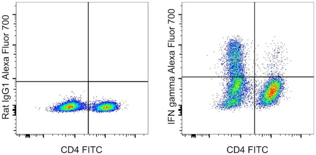 IFN gamma Antibody in Flow Cytometry (Flow)
