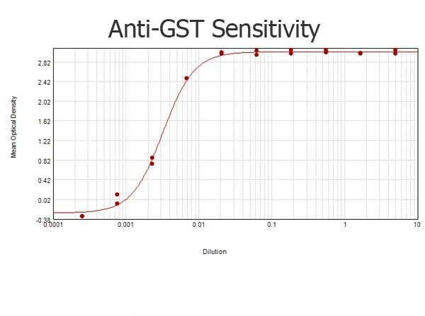 GST Antibody in ELISA (ELISA)