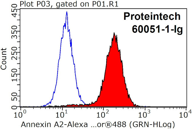 Annexin A2 Antibody in Flow Cytometry (Flow)
