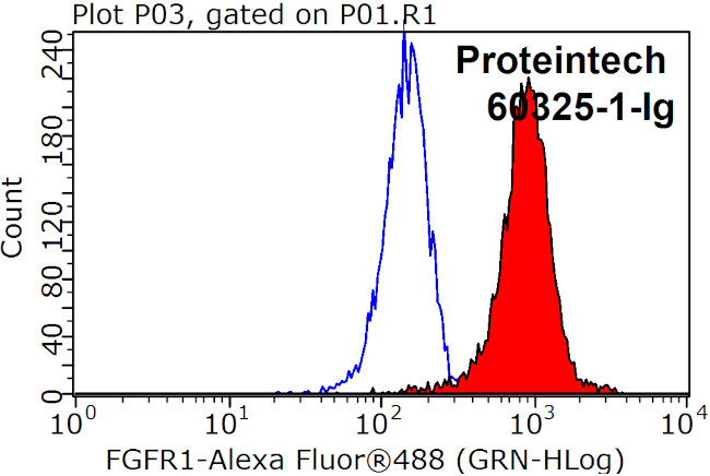 FGFR1 Antibody in Flow Cytometry (Flow)