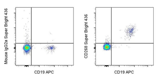 CD268 (BAFF Receptor) Antibody in Flow Cytometry (Flow)