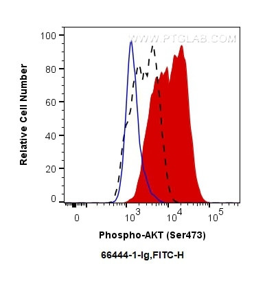 Phospho-AKT (Ser473) Antibody in Flow Cytometry (Flow)