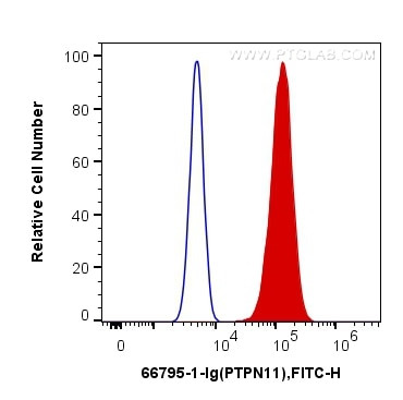 PTPN11 Antibody in Flow Cytometry (Flow)