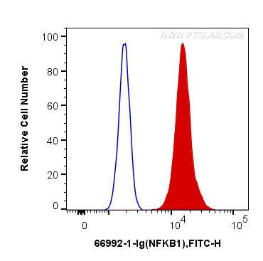 NFKB1 Antibody in Flow Cytometry (Flow)