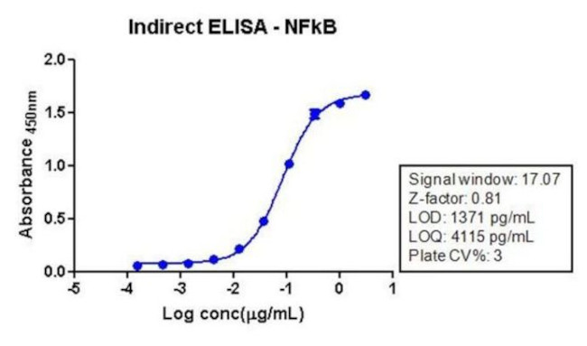 NFkB p65 Antibody in ELISA (ELISA)