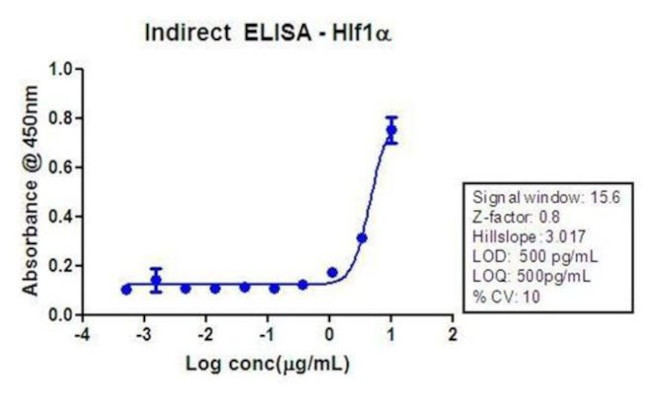 HIF1A Antibody in ELISA (ELISA)