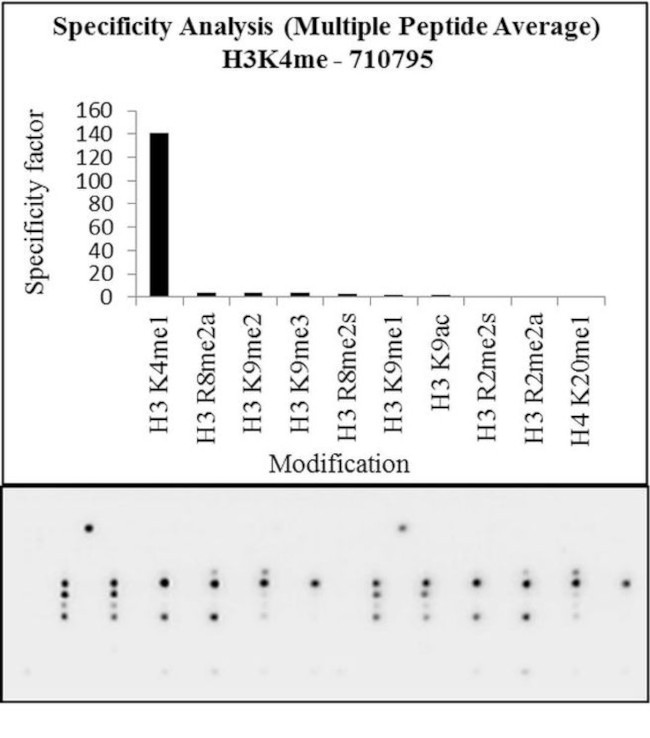 H3K4me1 Antibody in Peptide array (ARRAY)