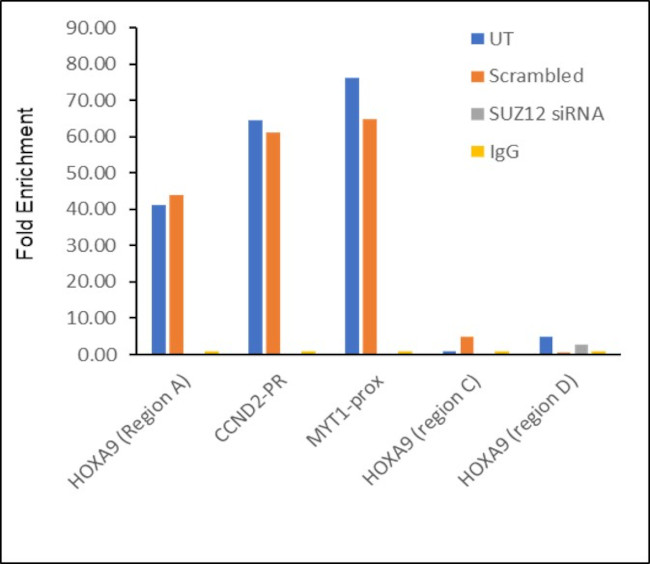 SUZ12 Antibody in ChIP Assay (ChIP)