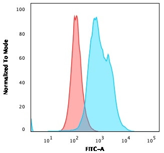 Thymidylate Synthase Antibody in Flow Cytometry (Flow)