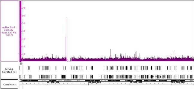 Cas9 Antibody in ChIP-Sequencing (Chip-Seq)