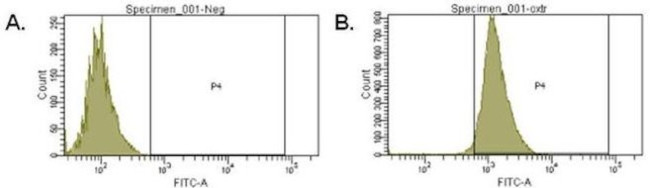 Goat IgG (H+L) Cross-Adsorbed Secondary Antibody in Flow Cytometry (Flow)