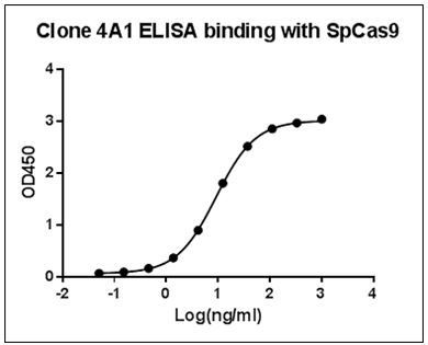 SpCas9 Antibody in ELISA (ELISA)