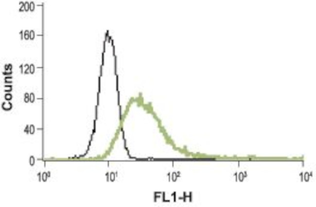 TRPV2 (VRL1) (extracellular) Antibody in Flow Cytometry (Flow)