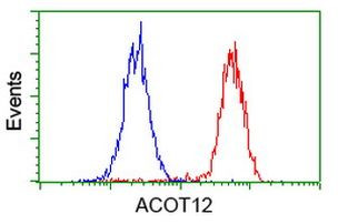 ACOT12 Antibody in Flow Cytometry (Flow)