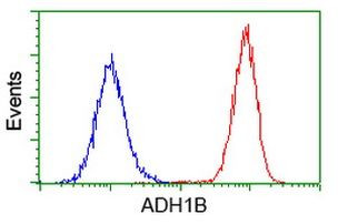 ADH1B Antibody in Flow Cytometry (Flow)