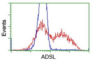 ADSL Antibody in Flow Cytometry (Flow)