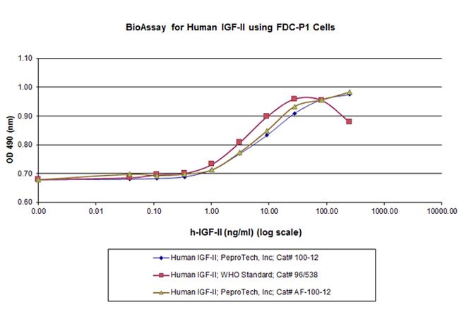 Human IGF-II, Animal-Free Protein in Functional Assay (FN)