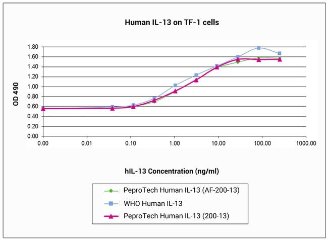 Human IL-13, Animal-Free Protein in Functional Assay (FN)