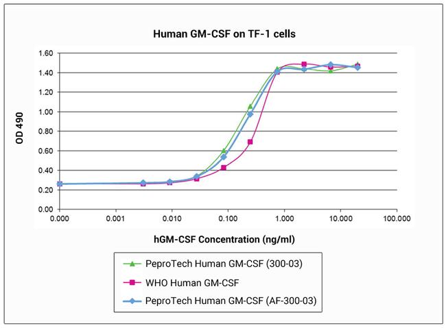 Human GM-CSF, Animal-Free Protein in Functional Assay (FN)