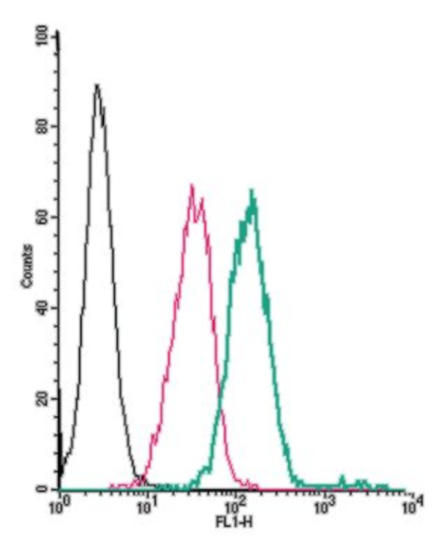 GPR132/G2A (extracellular) Antibody in Flow Cytometry (Flow)