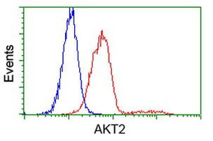 AKT2 Antibody in Flow Cytometry (Flow)