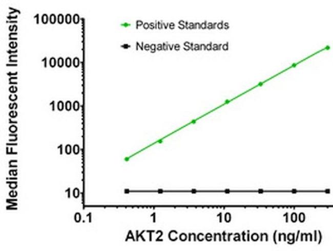 AKT2 Antibody in Luminex (LUM)