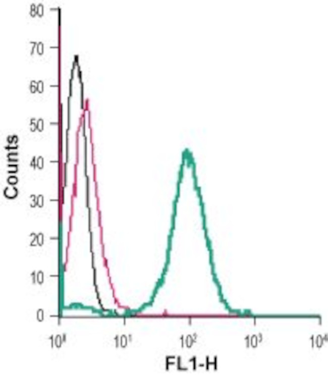 NPY1R (extracellular) Antibody in Flow Cytometry (Flow)