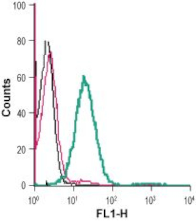 CD73 (extracellular) Antibody in Flow Cytometry (Flow)