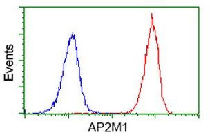 AP2M1 Antibody in Flow Cytometry (Flow)