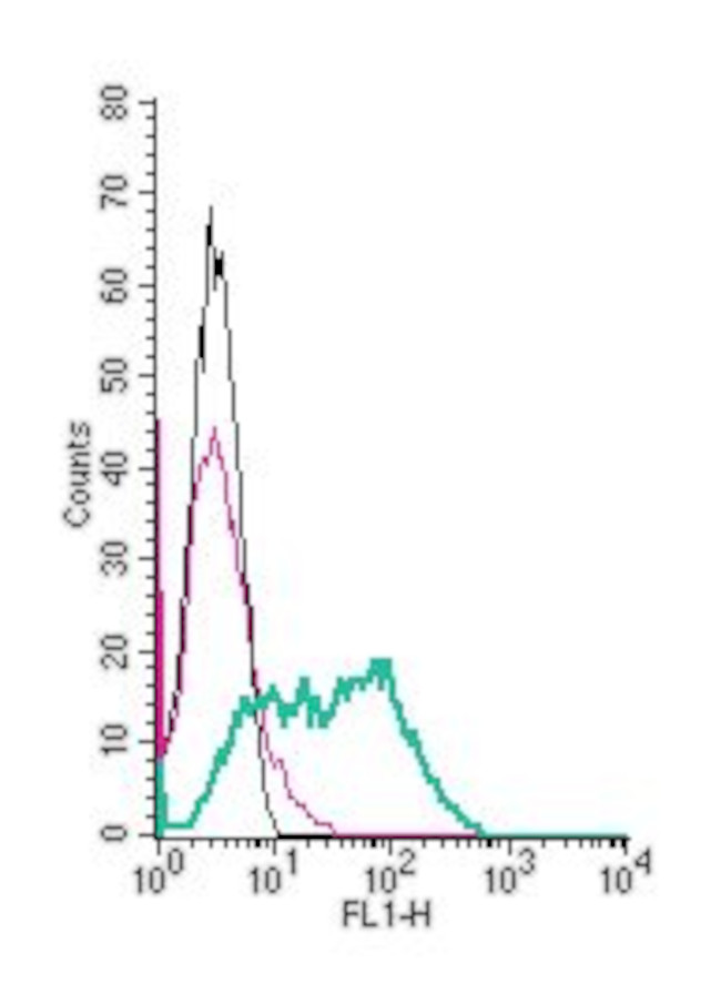 KCNH2 (HERG) (extracellular) Antibody in Flow Cytometry (Flow)