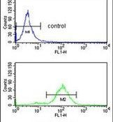 APOBEC3F Antibody in Flow Cytometry (Flow)