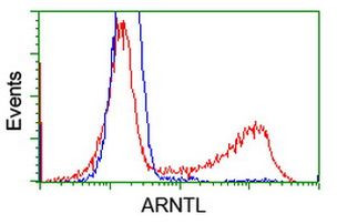 ARNTL Antibody in Flow Cytometry (Flow)