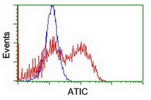 ATIC Antibody in Flow Cytometry (Flow)