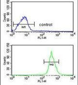 ATP11C Antibody in Flow Cytometry (Flow)