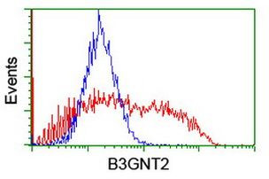 B3GNT2 Antibody in Flow Cytometry (Flow)