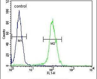 BEX1 Antibody in Flow Cytometry (Flow)