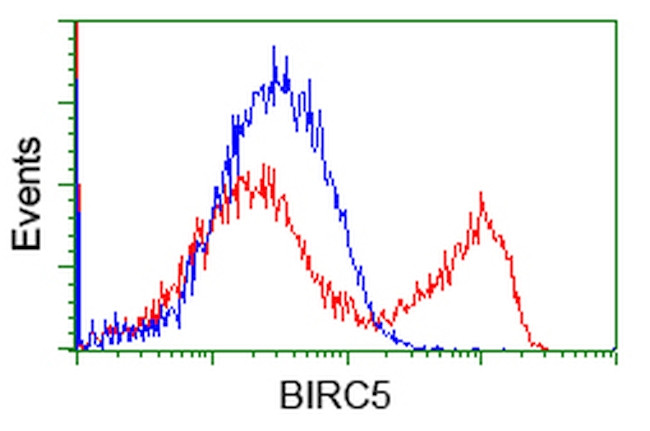 BIRC5/Survivin Antibody in Flow Cytometry (Flow)