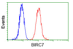 BIRC7 Antibody in Flow Cytometry (Flow)