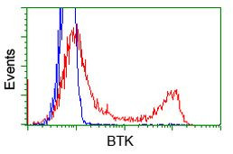 BTK Antibody in Flow Cytometry (Flow)