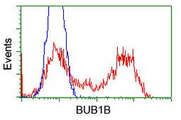 BUB1B Antibody in Flow Cytometry (Flow)