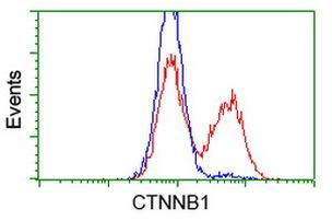 Beta-catenin Antibody in Flow Cytometry (Flow)