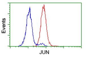 C-Jun Antibody in Flow Cytometry (Flow)