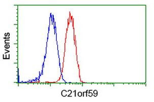 C21orf59 Antibody in Flow Cytometry (Flow)