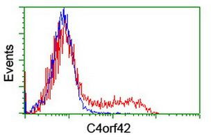 C4orf42 Antibody in Flow Cytometry (Flow)