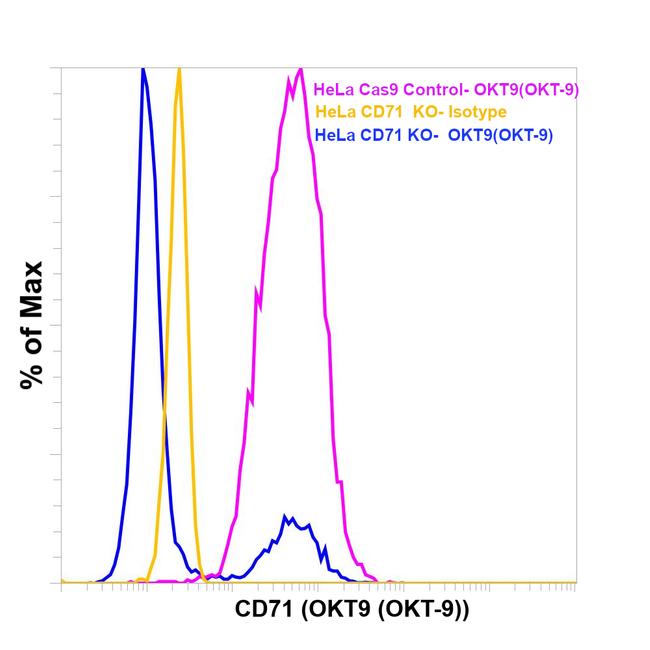 CD71 (Transferrin Receptor) Antibody