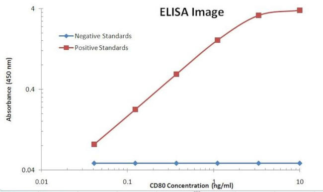 CD80 Antibody in ELISA (ELISA)