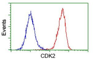 CDK2 Antibody in Flow Cytometry (Flow)