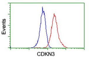 CDKN3 Antibody in Flow Cytometry (Flow)