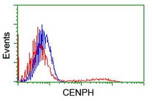 CENPH Antibody in Flow Cytometry (Flow)