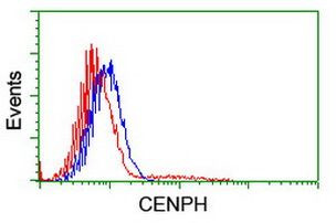 CENPH Antibody in Flow Cytometry (Flow)
